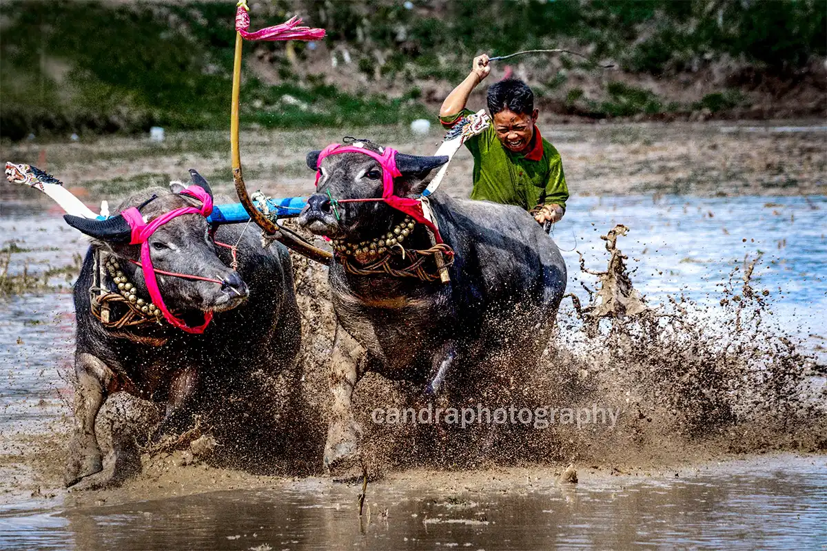 Kapolsek Melaya Mengajak Kepala Ketua Pecalang dan Ibu PKK Desa Tukadaya dalam Kegiatan Jumat Curhat Menyama Braya